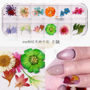 Dried Flowers Nail Deco F Collection Nail Art