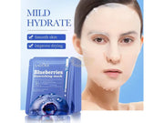 Sadoer Blueberries Nourishing Facial Mask Sheet