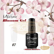 Mixcoco Soak-Off Gel Polish 15Ml - Blossom Collection 07 Nail