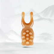 4 pcs Face Lifting Resin Gua Sha Set with FREE Rose Essential Oil Gua Sha Set