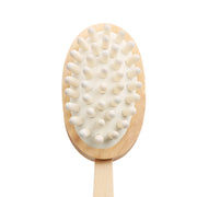 Cellulite Massage brush with Long Wood Handle