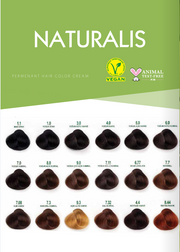 Naturalis Ammonia-Free Permanent Hair Color Cream Set | 4.4 Chestnut Brown | Vegan