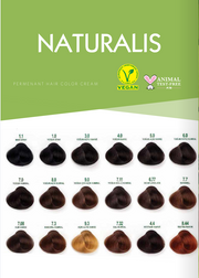 Naturalis Permanent Hair Color Cream Set | 9.0 Intense Very Light Blonde | 100% Vegan, No Ammonia, No Silicones, No Parabens