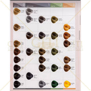 AP Professional Deluxe Hair Color Chart – Salon Tool Hair Color Chart