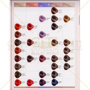 AP Professional Deluxe Hair Color Chart – Salon Tool Hair Color Chart
