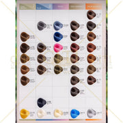 AP Professional Deluxe Hair Color Chart – Salon Tool Hair Color Chart