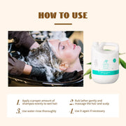 AP Professional Moroccan Argan Oil | Premium Gallon Shampoo | 4000ml Hair care