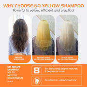 Argandarich No Yellow Purple Shampoo 500ml | Anti Brassy Shampoo