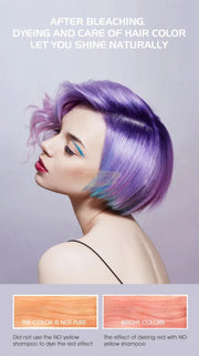 Argandarich No Yellow Purple Shampoo 500ml | Anti Brassy Shampoo