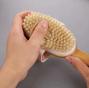 Back & Body Exfoliating Brush with Long Wood Handle Skin Care Brush