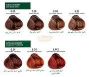 Botanic Plus Ammonia-Free Permanent Hair Color Cream 60ml - 6.08 Dark Blonde Sand Beige (100% Vegan) Permanent Hair