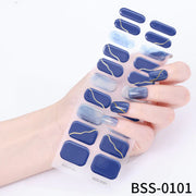 20 pcs Semi-Cured Gel Nail Strips | BSS-0101