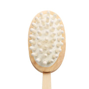 Cellulite Massage brush with Long Wood Handle Skin Care Brush