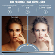 Double Arms Dimmable LED Cosmetic Lamp with Phone Clip & Tripod Floor Lamp