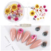 Dried Flowers Nail Deco 1 Nail Art