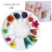 Dried Flowers Nail Deco M-70 Nail Art