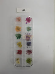 Dried Flowers Nail Deco Set Available in 9 designs 3 Nail Art