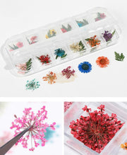 Dried Flowers Nail Deco Set Available in 9 designs Nail Art