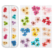 Dried Flowers Nail Deco Set Available in 9 designs Nail Art