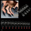 Eagle Claw Curved Stiletto Nail Tips 500 pcs | Clear Nail Tips