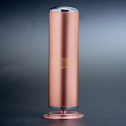 Electric Foot File Callus Remover 600 RPM with 60 Sanding Paper Disc Gold Foot care