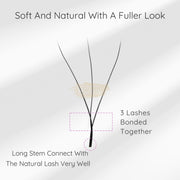 EMEDA 3D W-Shaped Clover Lashes W Lashes