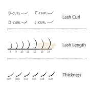 EMEDA Volume C Curl Mixed Lash Extension Volume Lashes