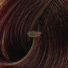 Exicolor 5.3 Light Brown Dore - Permanent Hair Color Cream Tube 100ml Permanent Hair Color