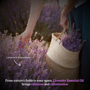 Inatur 100% Pure Lavender Essential Oil 12ml Essential Oil