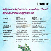 Inatur 100% Pure Rosemary Essential Oil 12ml Essential Oil