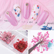 Japanese Style Dried Flowers Nail Deco Nail Art