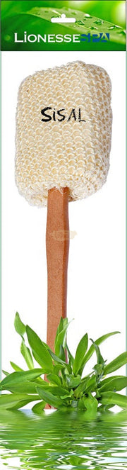 Lionesse Spa L-434 Bathroom Accessories