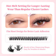 Stars Colors 60pcs Cluster Lashes 30D 0.07D 14mm