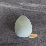 Beauty Blender Makeup Sponge Green Makeup Sponge