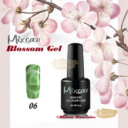 Mixcoco Soak-Off Gel Polish 15Ml - Blossom Collection 06 Nail
