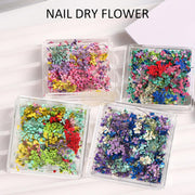 Dried Flower Nails Art Decoration Dried Flower Nail Decoration