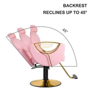 Modern Salon Styling Chair with Hydraulic Lift | Round Gold Disc Plate | ROSE/GOLD Barber Chair