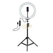 Multi-Function USB Ring Light 26cm with Tripod & Phone Clip Salon Furnishing