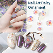 Nail Art Daisy Ornament- Available in 10 designs Nail Art