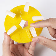 Nail Art Removable Practice Display Stand with Tips Nail Practice Stand