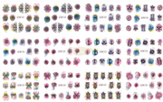 Nail Art Water Decal Stickers - BN Collection Water Decal