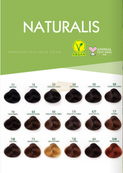 Naturalis Ammonia-Free Permanent Hair Color Cream Set | 4.4 Chestnut Brown | Vegan Permanent Hair Color