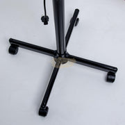 Professional Facial Steamer Single Arm | E-39 | Black Facial Steamer