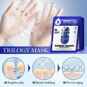 Sadoer Blueberry Collagen Hydra Nourish Facial Mask Sheet