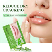 Sadoer Fruit & Plant Series Lip Mask Aloe Vera Hydrate Lip Mask