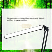 USB Dimmable LED Folding Desk Lamp with Clamp - Black