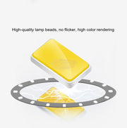 USB Dimmable LED Folding Desk Lamp with Clamp - Black