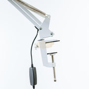 USB Dimmable LED Folding Desk Lamp with Clamp - White