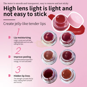 VICOVI Lip Gloss Paste 4g - 6 colors Lip Gloss Paste