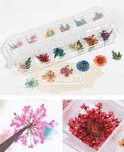 Dried Flowers Nail Deco Set Available in 9 designs